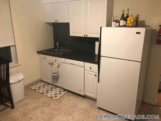 57 Cedar St, Unit 3 in Cambridge, MA - Building Photo - Building Photo
