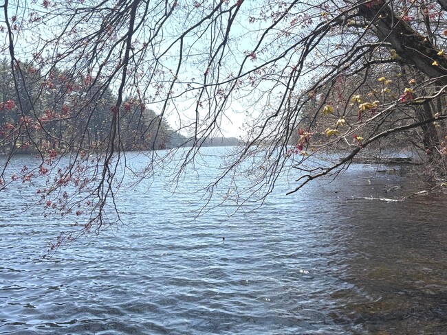 property at 350 Beaver Dam Access Rd