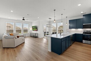 1705 Tin Can Trl in Georgetown, TX - Building Photo