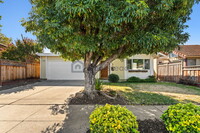 5580 Greenpoint Ct in Newark, CA - Building Photo - Building Photo