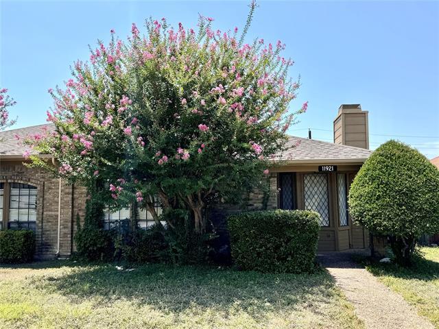 11921 Garden Terrace Dr in Dallas, TX - Building Photo - Building Photo