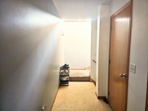 1019 Drew Dr in Woodbury, MN - Building Photo - Building Photo