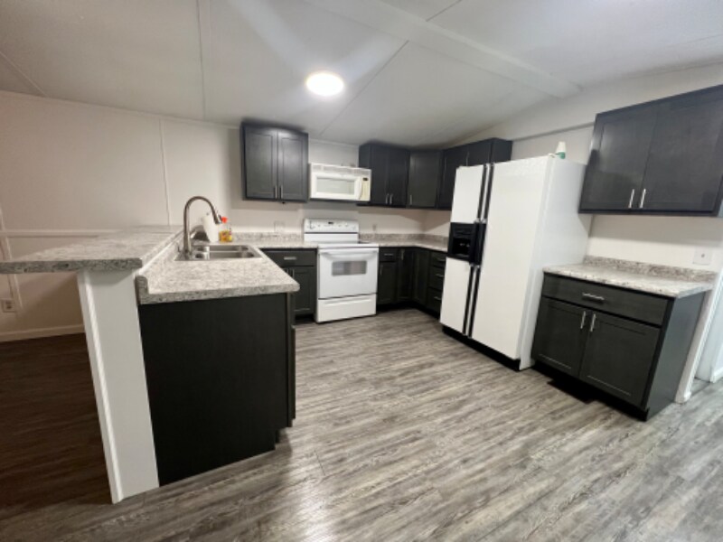 308 Locust St in Fredericktown, MO - Building Photo
