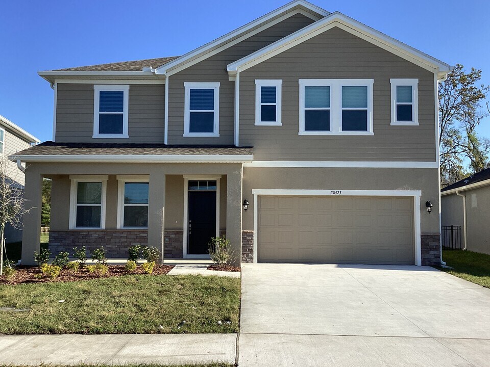 20423 Calla Lily Dr in Land O Lakes, FL - Foto de edificio