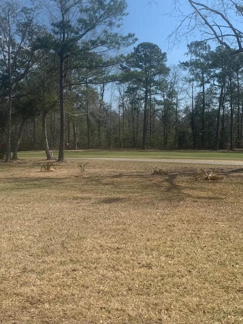 6714 Alewa Pl in Diamondhead, MS - Building Photo - Building Photo