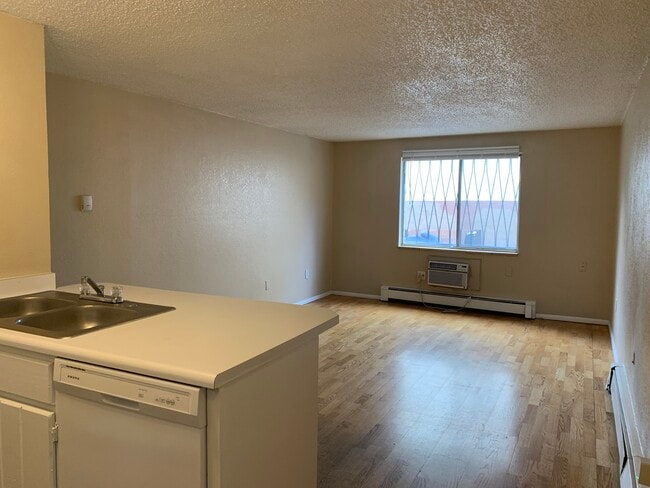 1148 N Washington St in Denver, CO - Building Photo - Building Photo