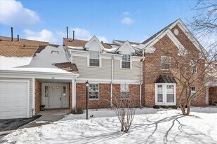 67 Beechmont Ct in Schaumburg, IL - Building Photo