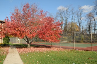 Woodbridge Village in Avenel, NJ - Foto de edificio - Building Photo