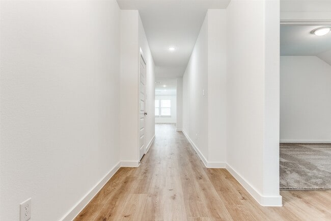 4923 Bellhurst Dr in McKinney, TX - Building Photo - Building Photo