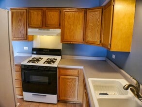 4827 W 109th St in Oak Lawn, IL - Building Photo - Building Photo