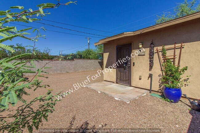237 E Waverly St in Tucson, AZ - Building Photo - Building Photo