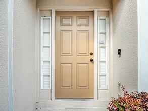 9856 Ashburn Lake Dr in Tampa, FL - Foto de edificio - Building Photo