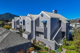 The Shores in Corte Madera, CA - Building Photo