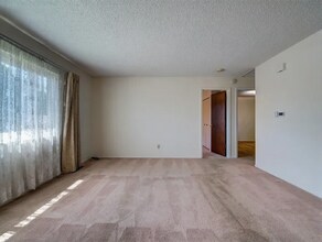 501 Corte Sol in Fountain, CO - Building Photo - Building Photo