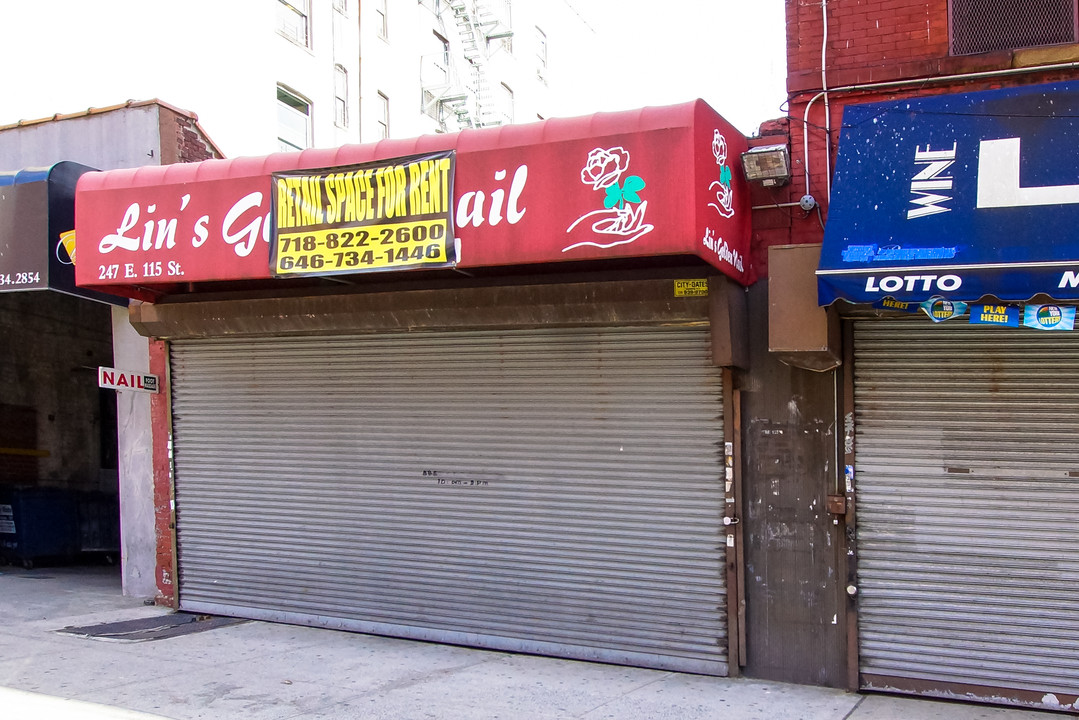 247-249 E 115th St in New York, NY - Foto de edificio