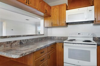 2901 Leslee Lake Dr N in St. Petersburg, FL - Building Photo - Building Photo