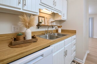 Collins Park Apartments in Burlington, NC - Building Photo - Building Photo