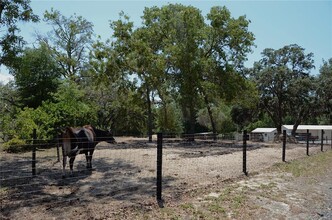 11499 Sedate St in Brooksville, FL - Building Photo - Building Photo