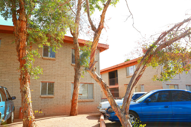 Woodland Terrace Apartments in Tucson, AZ - Foto de edificio - Building Photo