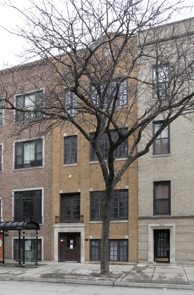 1005 N La Salle Blvd in Chicago, IL - Building Photo - Building Photo