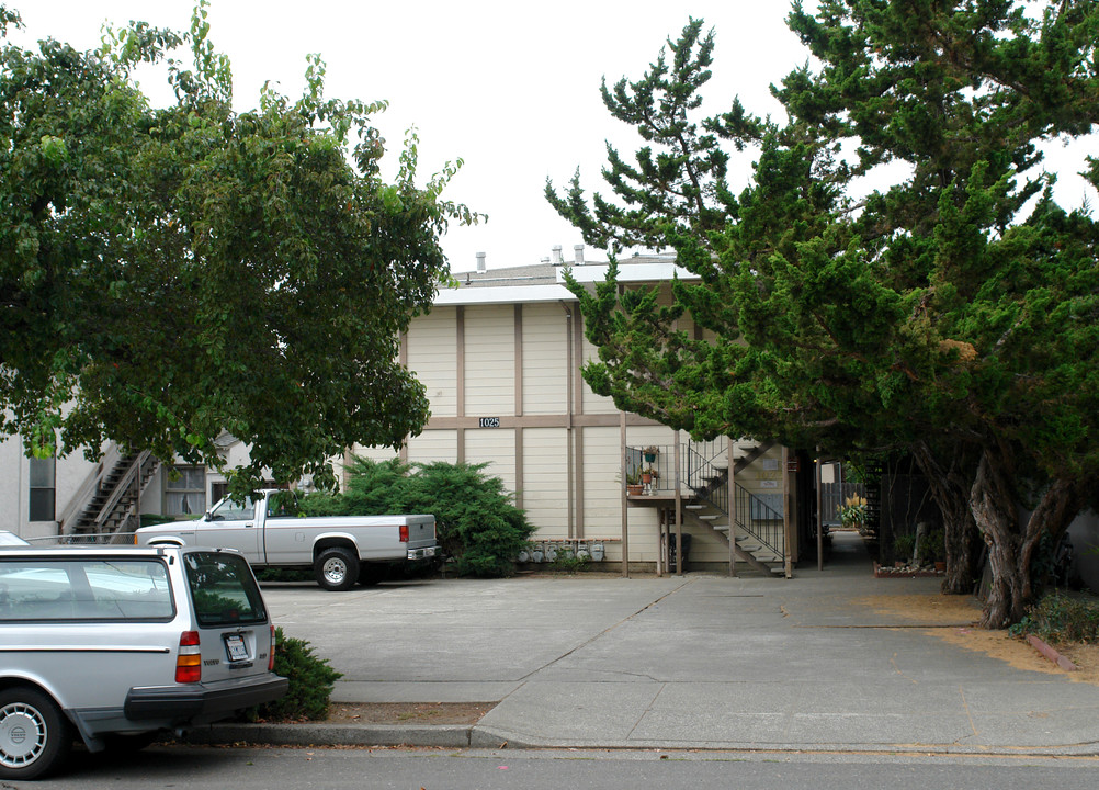 1025 3rd St in Novato, CA - Building Photo