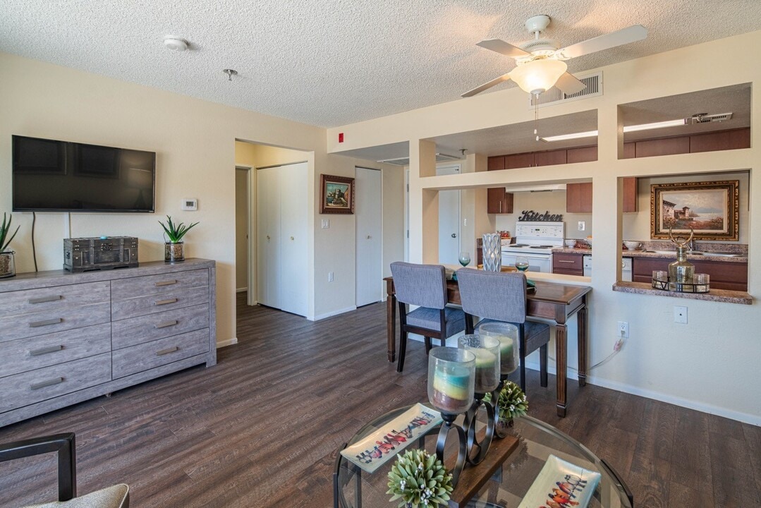 Palazzo Senior Apartments - 55+ Active Adult in Phoenix, AZ - Building Photo