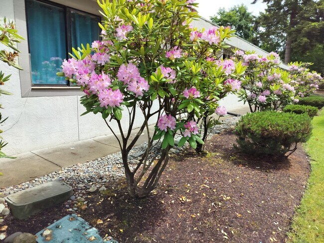 25426 97th Pl S, Unit 2- in Kent, WA - Building Photo - Building Photo