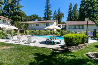 Dry Creek Apartments in Union City, CA - Building Photo - Building Photo