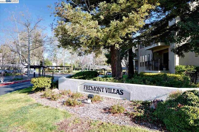39400 Albany Common in Fremont, CA - Building Photo - Building Photo
