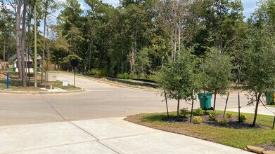 169 Hidden Peak Dr in Montgomery, TX - Building Photo - Building Photo