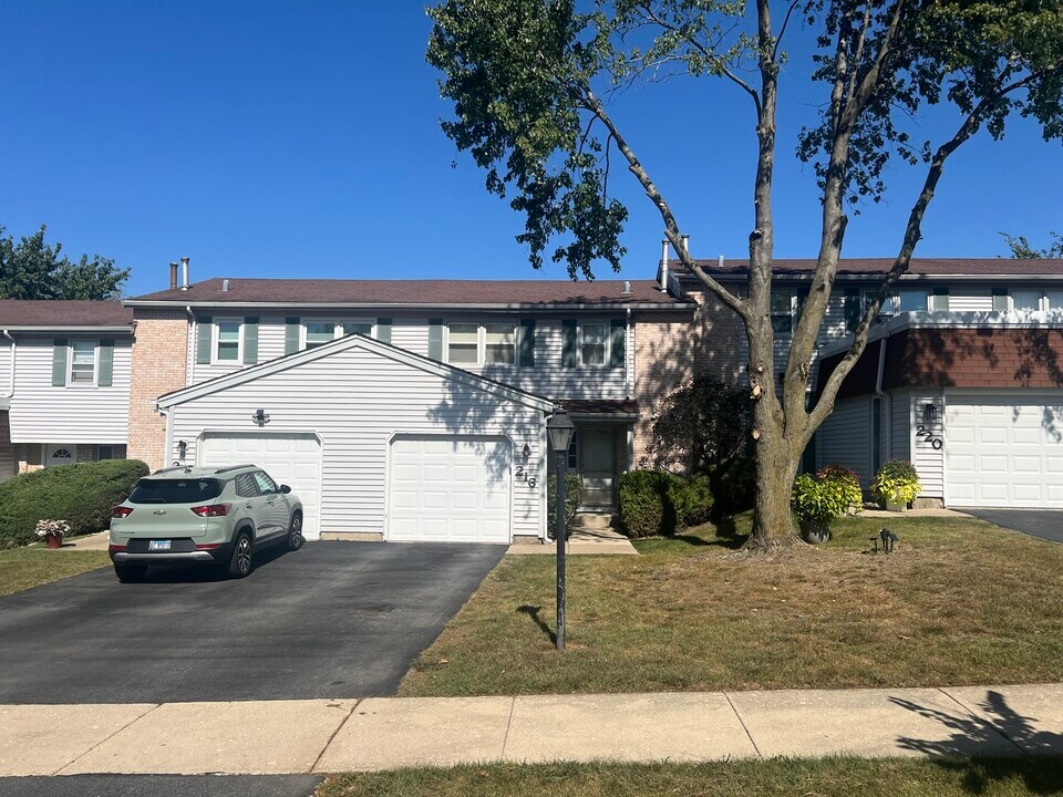 216 Pamela Dr in Bolingbrook, IL - Building Photo