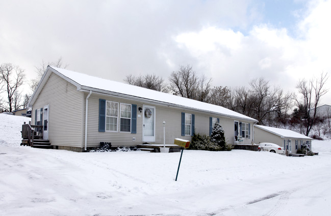 49133 Mccoy Ave in East Liverpool, OH - Foto de edificio - Building Photo