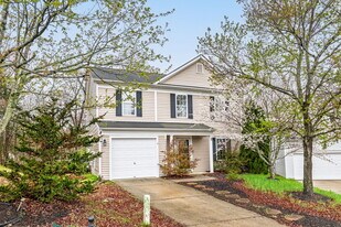 10609 Spring Rain Ct in Charlotte, NC - Building Photo