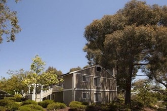 Bay Village in Vallejo, CA - Building Photo - Building Photo