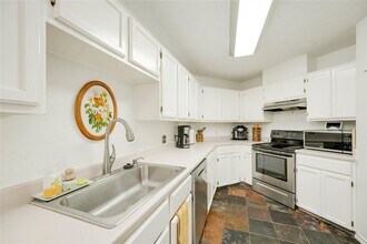 1211 Gingerlily Cove in Austin, TX - Building Photo - Building Photo