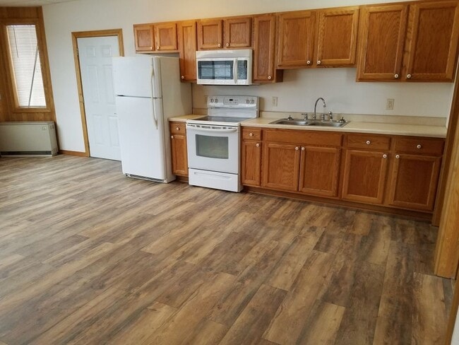 313 Main St in Littlefork, MN - Building Photo - Building Photo