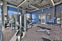 Alta West Gray photo'