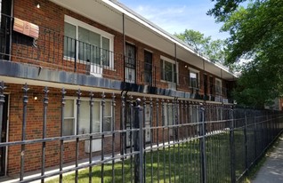 9017-25 S Cottage Grove in Chicago, IL - Building Photo