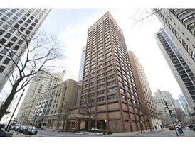 247 E Chestnut St in Chicago, IL - Building Photo