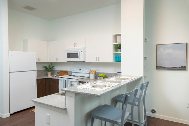 Live at Savoy HTX photo'