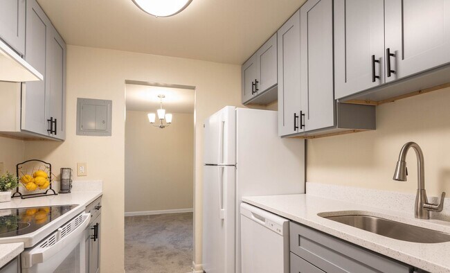 Mallard Court Apartments in Alexandria, VA - Building Photo - Building Photo