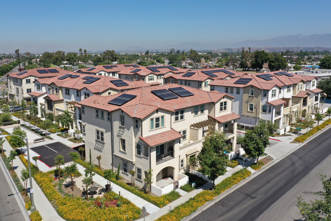 Dahlia Townhomes in Pico Rivera, CA - Building Photo - Building Photo