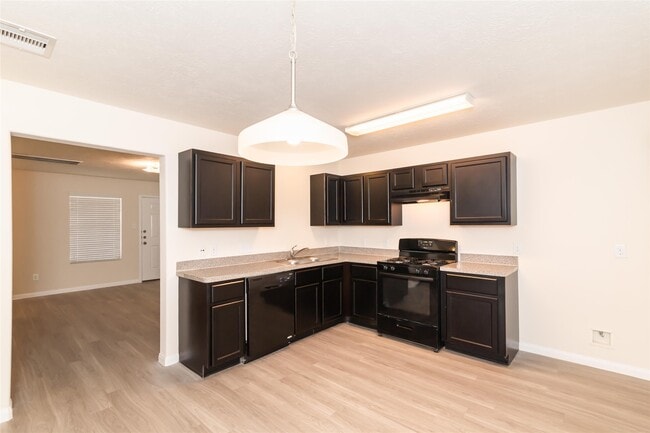 12613 Rio Nueces Ln in Rosharon, TX - Building Photo - Building Photo