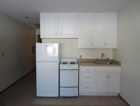 Hanley Place Apartments in Hudson, WI - Building Photo
