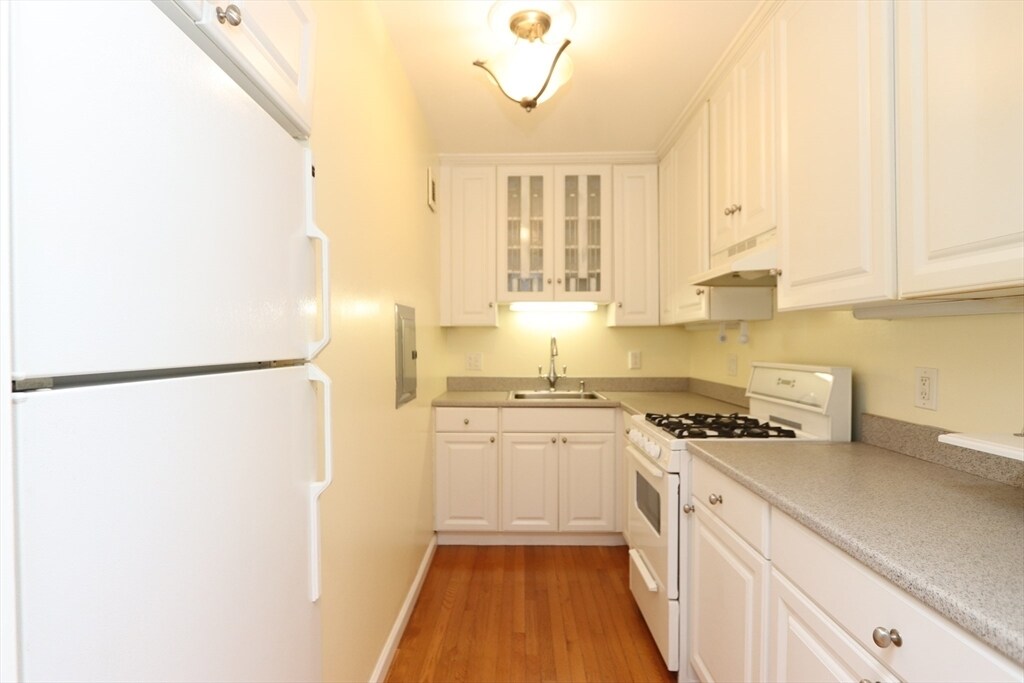 24 Juniper St in Brookline, MA - Building Photo