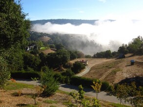 380 Whippet-Run in Corralitos, CA - Building Photo - Building Photo