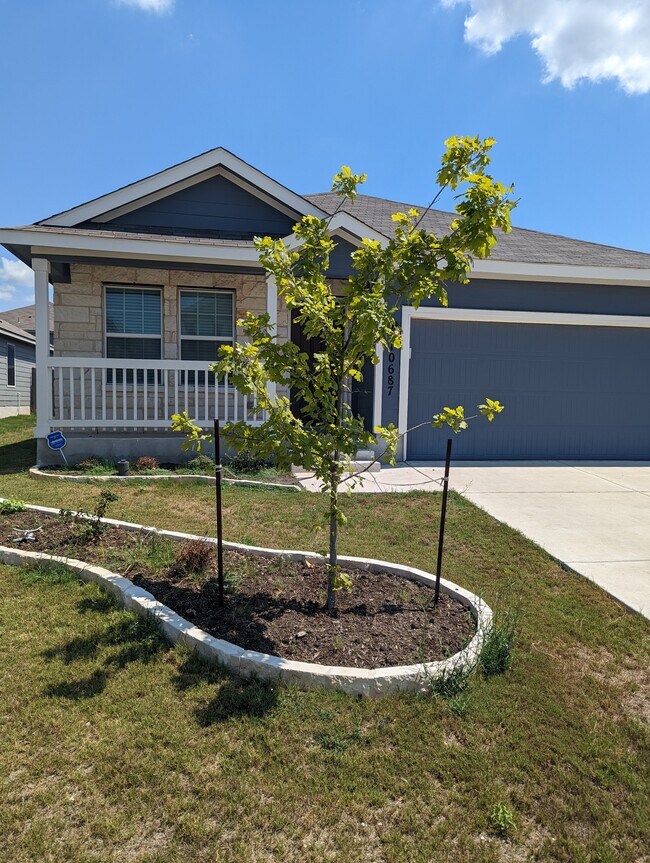 10687 Penelope Way Rentals in Converse, TX