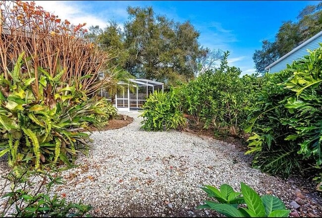 244 Myrtle Ct in Palm Harbor, FL - Building Photo - Building Photo