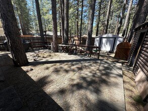 1116 Herbert Ave in South Lake Tahoe, CA - Building Photo - Building Photo