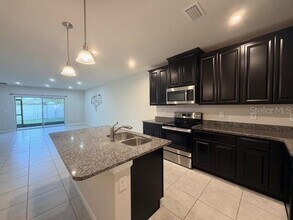 17737 Turning Leaf Cir in Land O Lakes, FL - Building Photo - Building Photo